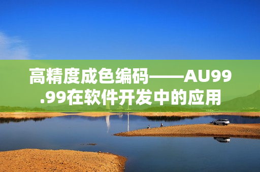 高精度成色编码——AU99.99在软件开发中的应用