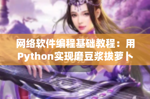 网络软件编程基础教程：用Python实现磨豆浆拔萝卜视频教程