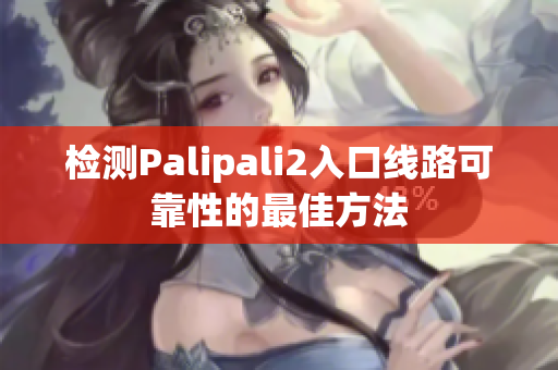 检测Palipali2入口线路可靠性的最佳方法