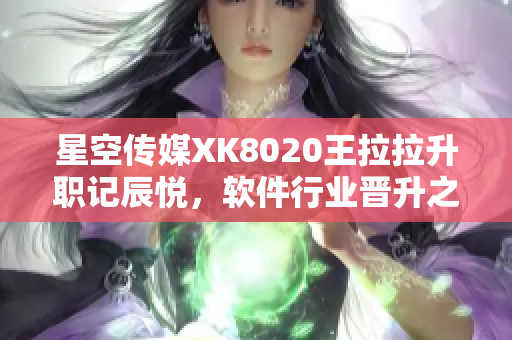 星空传媒XK8020王拉拉升职记辰悦，软件行业晋升之路