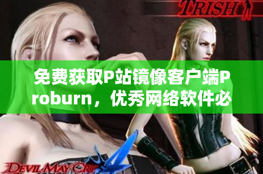 免费获取P站镜像客户端Proburn，优秀网络软件必备！