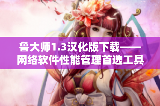 鲁大师1.3汉化版下载——网络软件性能管理首选工具