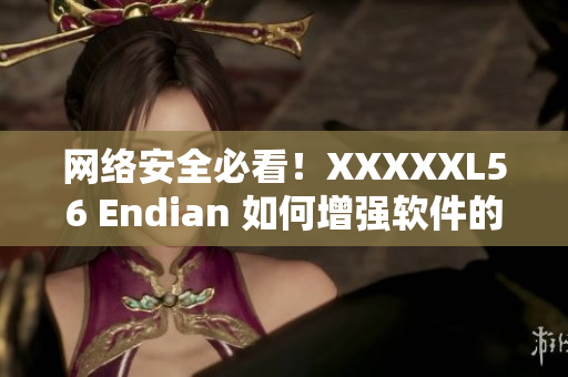 网络安全必看！XXXXXL56 Endian 如何增强软件的安全性