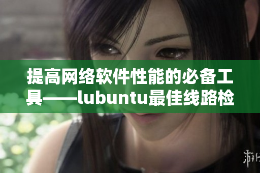 提高网络软件性能的必备工具——lubuntu最佳线路检测3