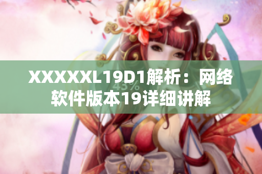 XXXXXL19D1解析：网络软件版本19详细讲解