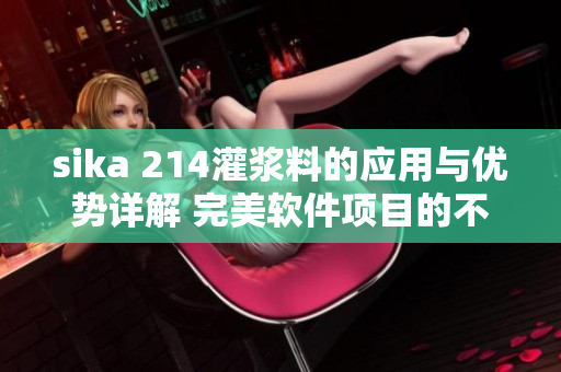 sika 214灌浆料的应用与优势详解 完美软件项目的不可或缺