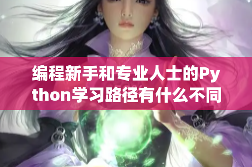 编程新手和专业人士的Python学习路径有什么不同