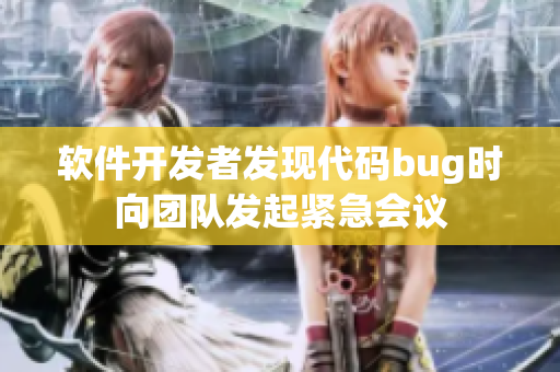 软件开发者发现代码bug时向团队发起紧急会议