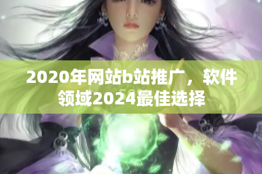 2020年网站b站推广，软件领域2024最佳选择