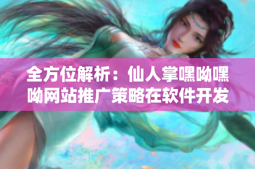 全方位解析：仙人掌嘿呦嘿呦网站推广策略在软件开发中的应用