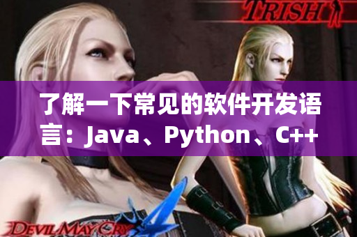 了解一下常见的软件开发语言：Java、Python、C++等