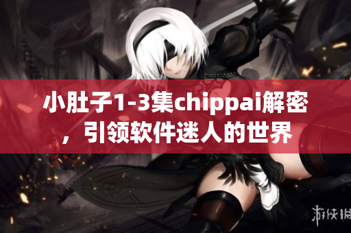 小肚子1-3集chippai解密，引领软件迷人的世界