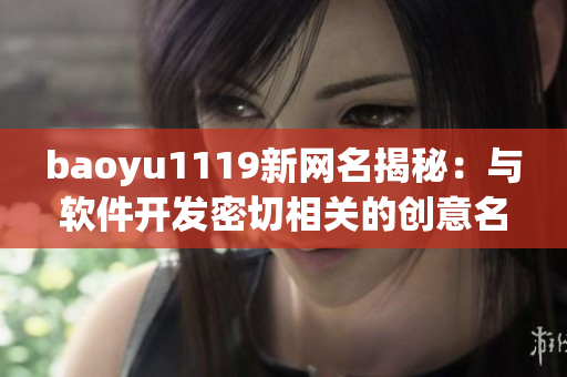 baoyu1119新网名揭秘：与软件开发密切相关的创意名称大放送！