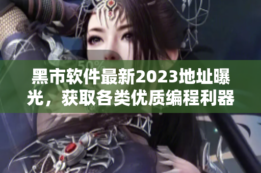 黑市软件最新2023地址曝光，获取各类优质编程利器！