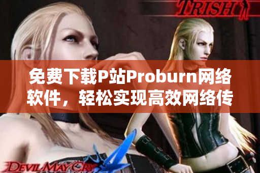 免费下载P站Proburn网络软件，轻松实现高效网络传输！