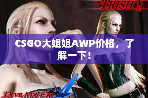 CSGO大姐姐AWP价格，了解一下！