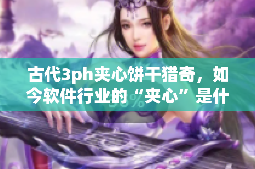 古代3ph夹心饼干猎奇，如今软件行业的“夹心”是什么？ 