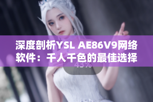 深度剖析YSL AE86V9网络软件：千人千色的最佳选择