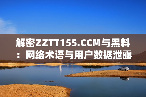 解密ZZTT155.CCM与黑料：网络术语与用户数据泄露之差异