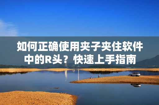 如何正确使用夹子夹住软件中的R头？快速上手指南