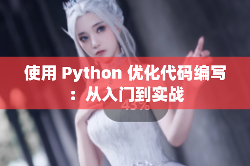 使用 Python 优化代码编写：从入门到实战