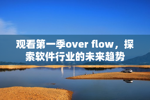 观看第一季over flow，探索软件行业的未来趋势