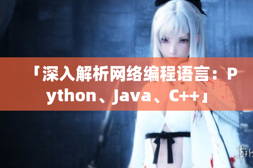 「深入解析网络编程语言：Python、Java、C++」