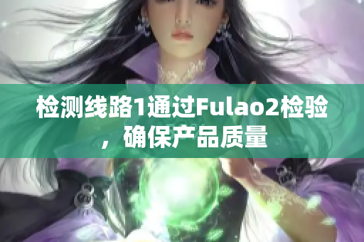 检测线路1通过Fulao2检验，确保产品质量