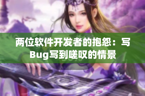 两位软件开发者的抱怨：写Bug写到嗟叹的情景