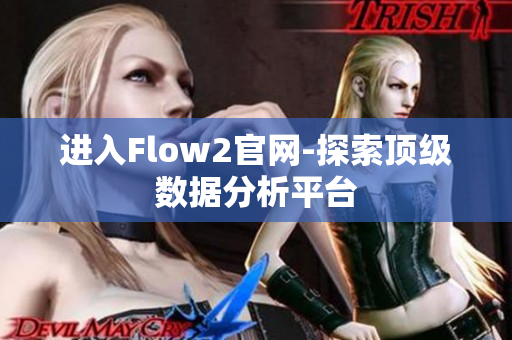 进入Flow2官网-探索顶级数据分析平台