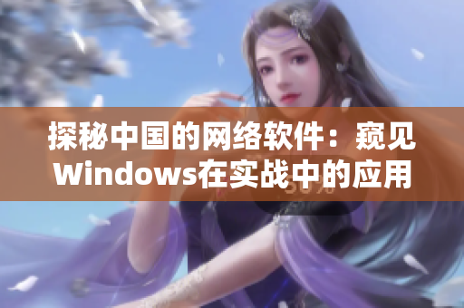 探秘中国的网络软件：窥见Windows在实战中的应用