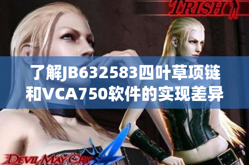 了解JB632583四叶草项链和VCA750软件的实现差异