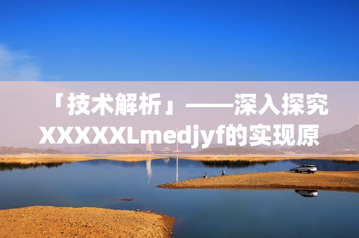 「技术解析」——深入探究XXXXXLmedjyf的实现原理