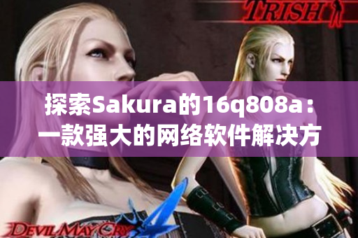 探索Sakura的16q808a：一款强大的网络软件解决方案