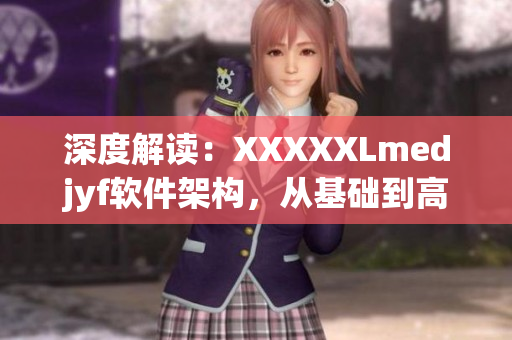 深度解读：XXXXXLmedjyf软件架构，从基础到高级