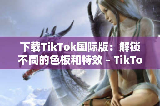 下载TikTok国际版：解锁不同的色板和特效 – TikTok色板下载