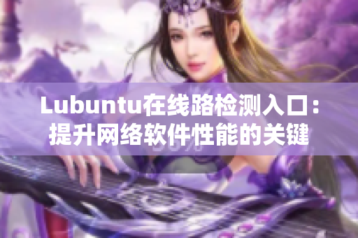 Lubuntu在线路检测入口：提升网络软件性能的关键