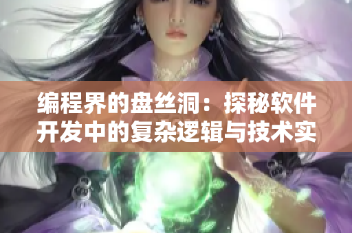 编程界的盘丝洞：探秘软件开发中的复杂逻辑与技术实践