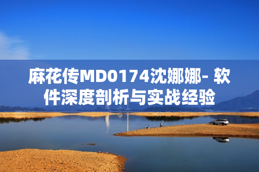 麻花传MD0174沈娜娜- 软件深度剖析与实战经验