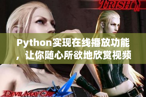 Python实现在线播放功能，让你随心所欲地欣赏视频资源