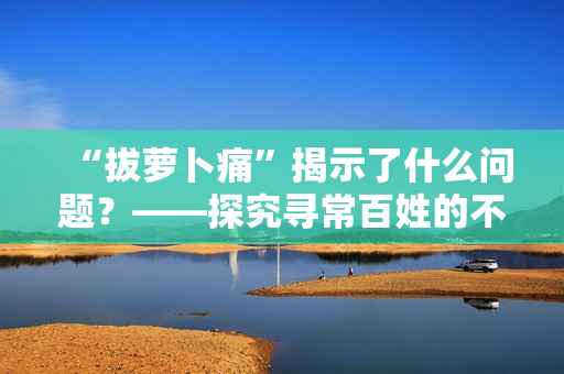 “拔萝卜痛”揭示了什么问题？——探究寻常百姓的不平凡生活