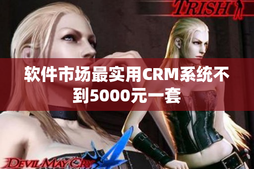 软件市场最实用CRM系统不到5000元一套