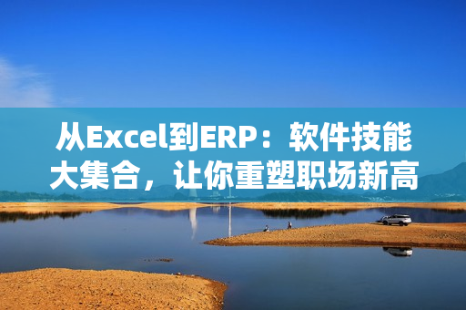 从Excel到ERP：软件技能大集合，让你重塑职场新高度