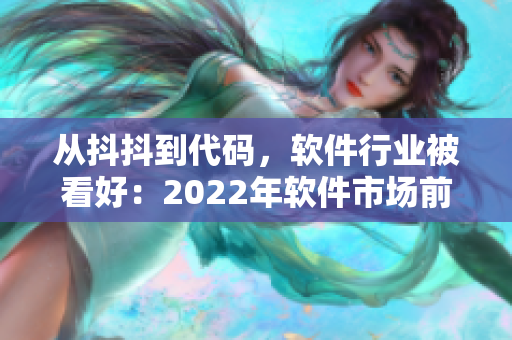 从抖抖到代码，软件行业被看好：2022年软件市场前景分析