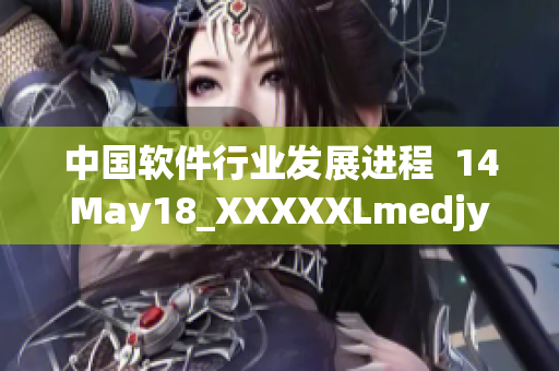 中国软件行业发展进程  14May18_XXXXXLmedjyf