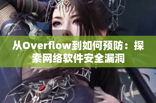 从Overflow到如何预防：探索网络软件安全漏洞