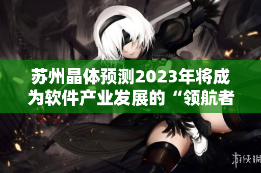 苏州晶体预测2023年将成为软件产业发展的“领航者”