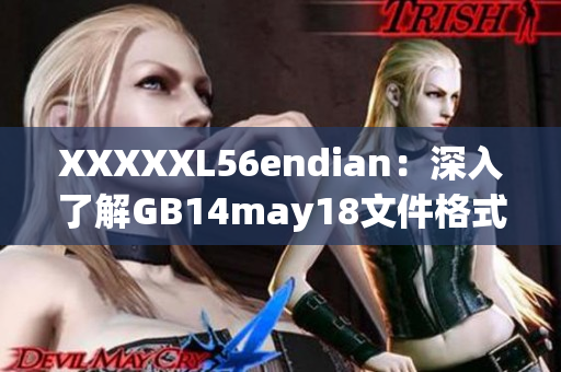 XXXXXL56endian：深入了解GB14may18文件格式