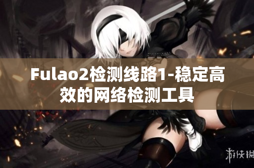 Fulao2检测线路1-稳定高效的网络检测工具