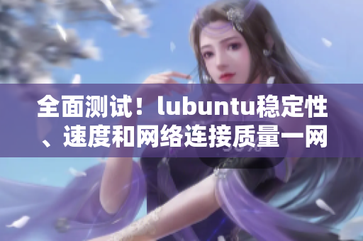 全面测试！lubuntu稳定性、速度和网络连接质量一网打尽